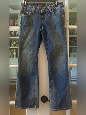 Vintage American Eagle Boyfriend 77 Bootcut Jeans Size 4S